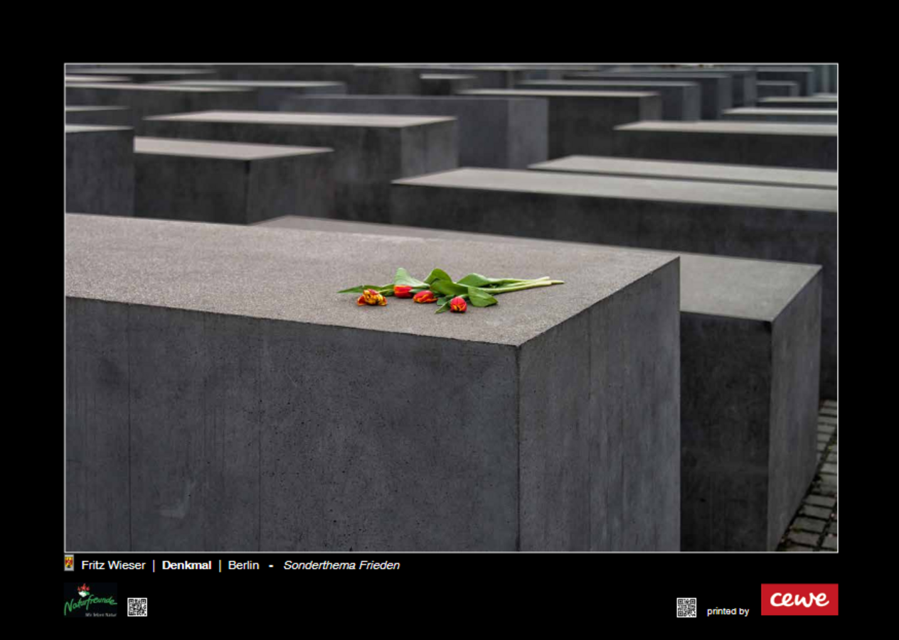Werk Holocaust Denkmal Berlin von Fritz Wieser Foto-Bundesmeisterschaft 2025